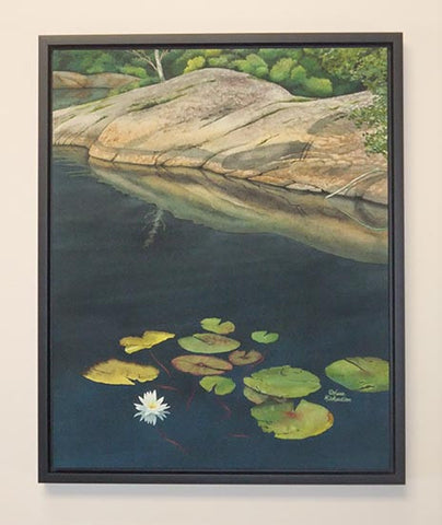 Stillwater Lily, watercolour by Karen Richardson