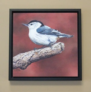 White Breasted Nuthatch by Karen Richardson