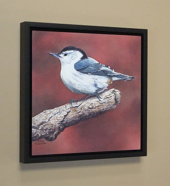 White Breasted Nuthatch by Karen Richardson