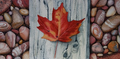 Canada Rocks! #1, watercolour by Karen Richardson