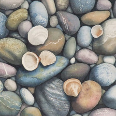 Shells Ashore, watercolour by Karen Richardson
