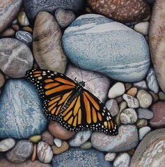 Superior Monarch, watercolour by Karen Richardson