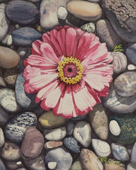 Zinnia on the Rocks, watercolour by Karen Richardson