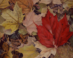Maple Flooring, watercolour by Karen Richardson